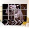Acepunch Animal Velcro Felt Art Wall Panels AP1225