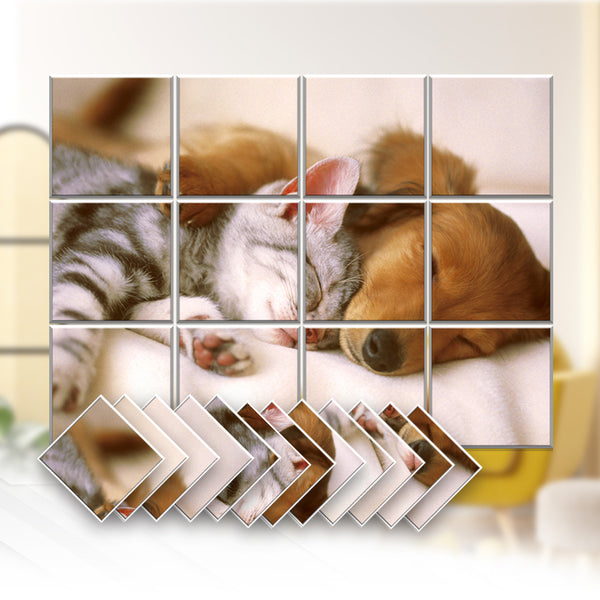 Acepunch Animal Velcro Felt Art Wall Panels AP1225