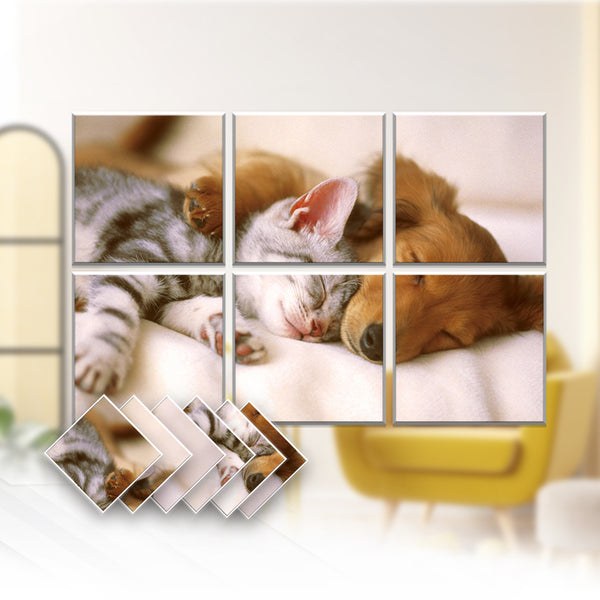 Acepunch Animal Velcro Felt Art Wall Panels AP1225